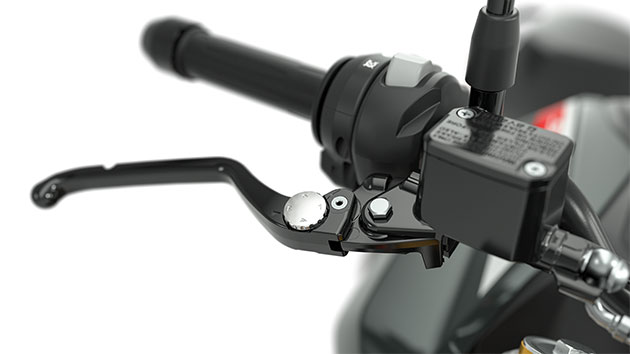 We see the adjustable clutch and brake lever of the G 310 R.